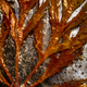 Illustration for article titled 76 Stunning Photos Of Fall Leaves